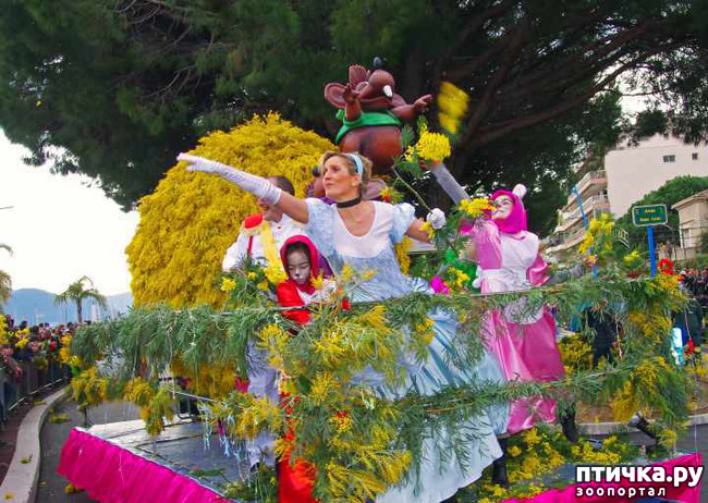 ���� 7: ������