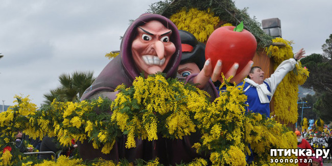 ���� 9: ������