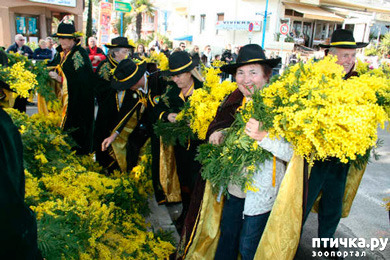 ���� 12: ������