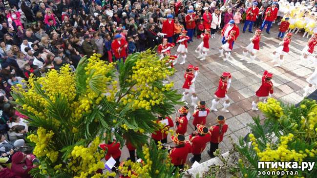 ���� 13: ������