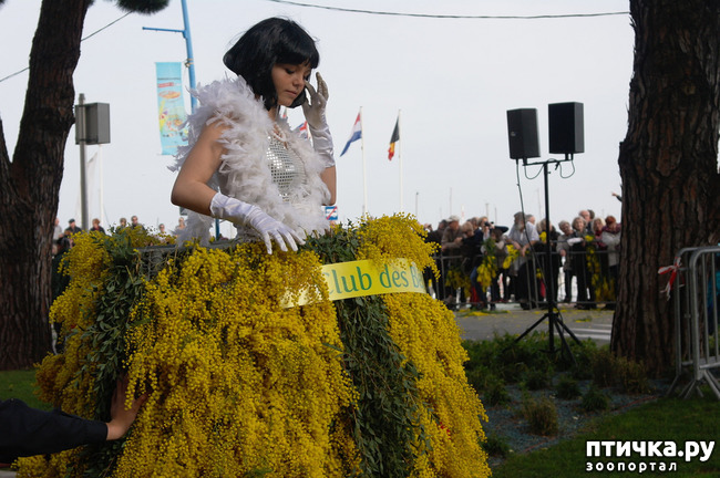 ���� 11: ������