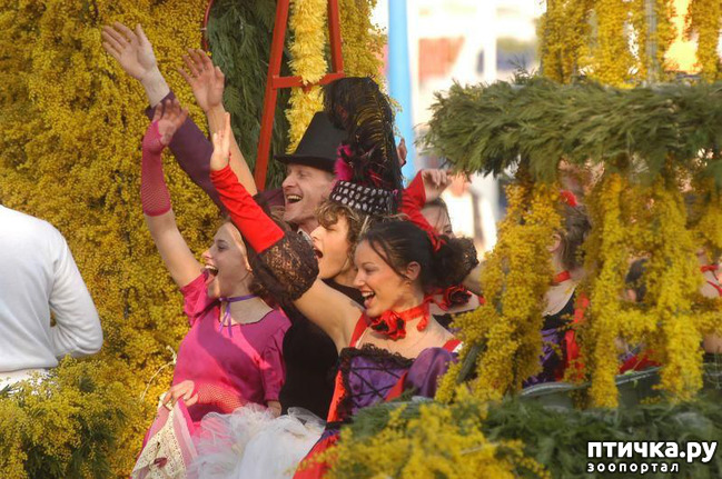 ���� 14: ������