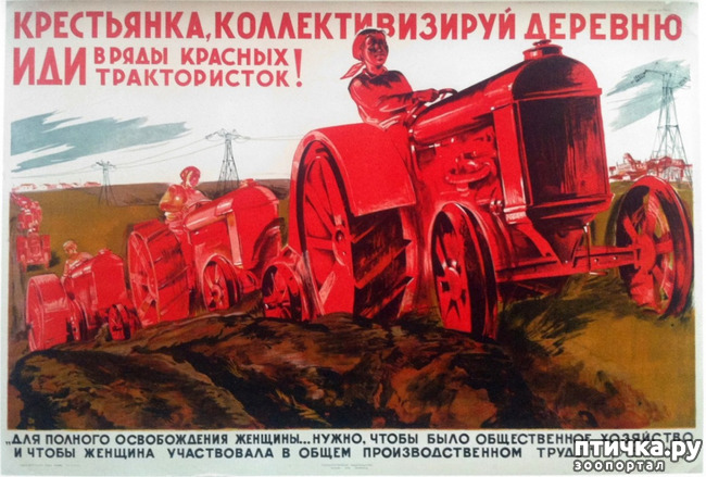 ���� 4: ��������. ���� ��� �� ����.