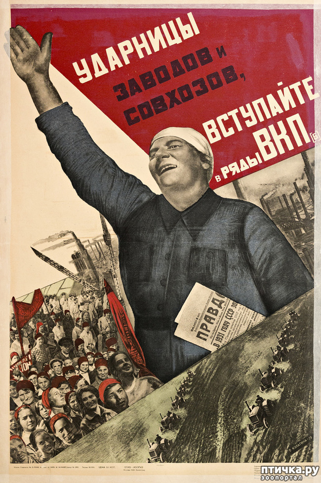 ���� 3: ��������. ���� ��� �� ����.