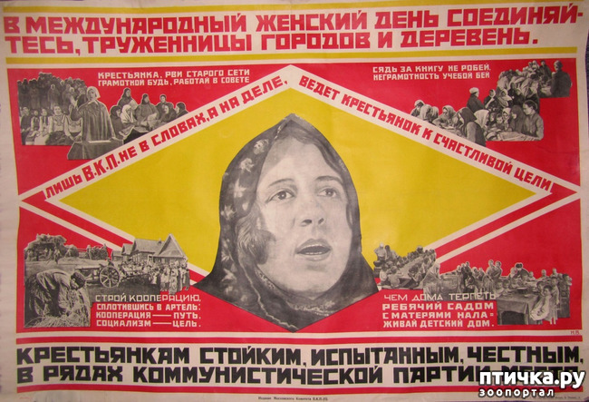 ���� 8: ��������. ���� ��� �� ����.