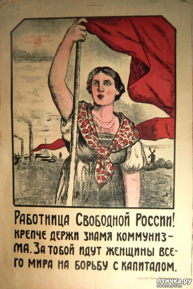 ���� 7: ��������. ���� ��� �� ����.