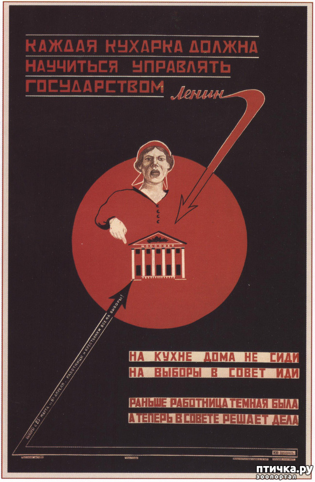 ���� 5: ��������. ���� ��� �� ����.