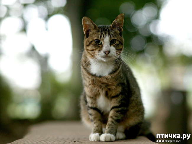 ���� 1: ����� �� ����� ���� ������. �������� ���������