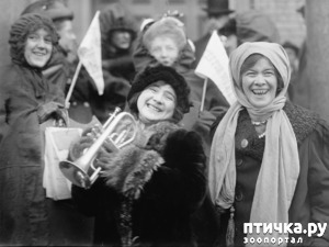 ����: 8-�����, ���������� �����