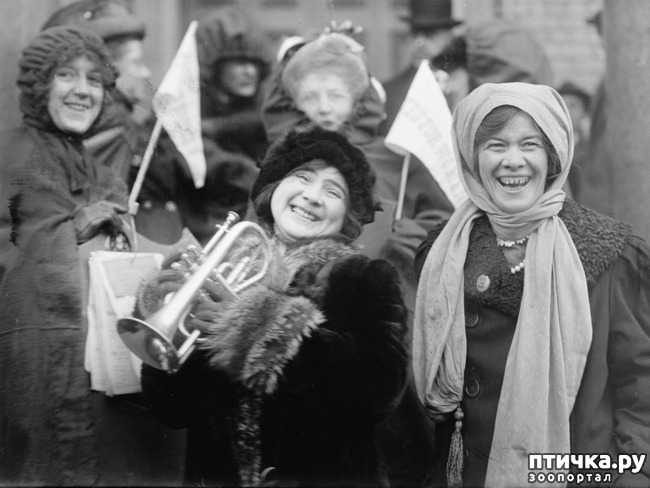 ���� 1: 8-�����, ���������� �����