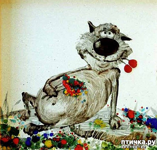  13:    