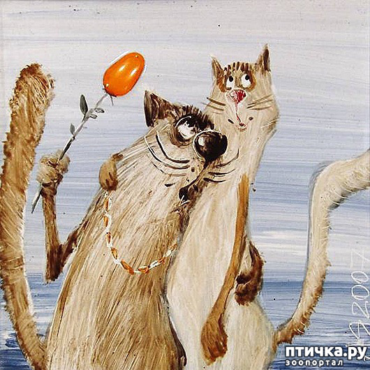  4:    