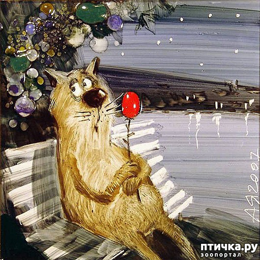  5:    
