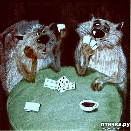  14:    