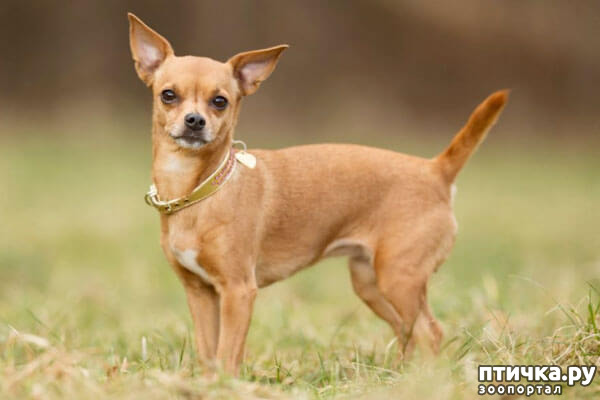 ���� 18: ����������� �������� ���� ���: ����, ������� ���, ��������, ������� �� ����� � ������� ����� + ��� ������� �����?