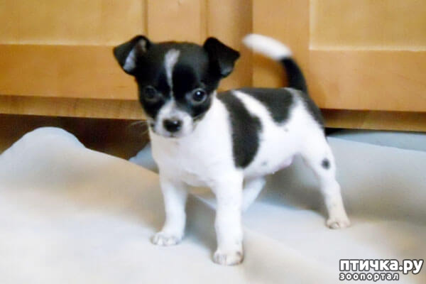 ���� 19: ����������� �������� ���� ���: ����, ������� ���, ��������, ������� �� ����� � ������� ����� + ��� ������� �����?