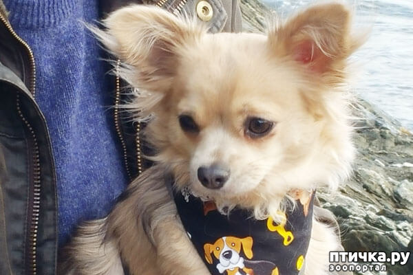 ���� 20: ����������� �������� ���� ���: ����, ������� ���, ��������, ������� �� ����� � ������� ����� + ��� ������� �����?