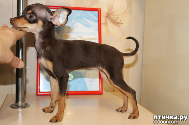 ���� 21: ����������� �������� ���� ���: ����, ������� ���, ��������, ������� �� ����� � ������� ����� + ��� ������� �����?