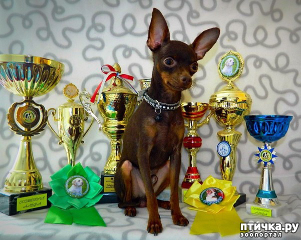 ���� 22: ����������� �������� ���� ���: ����, ������� ���, ��������, ������� �� ����� � ������� ����� + ��� ������� �����?