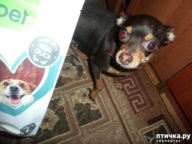 ���� 23: ����������� �������� ���� ���: ����, ������� ���, ��������, ������� �� ����� � ������� ����� + ��� ������� �����?