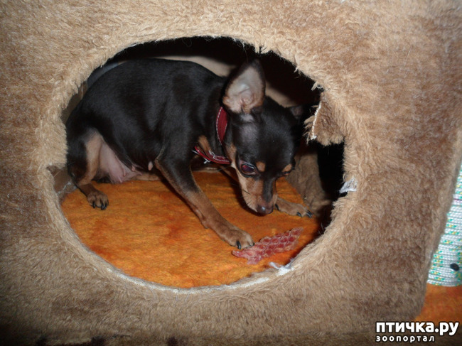 ���� 24: ����������� �������� ���� ���: ����, ������� ���, ��������, ������� �� ����� � ������� ����� + ��� ������� �����?