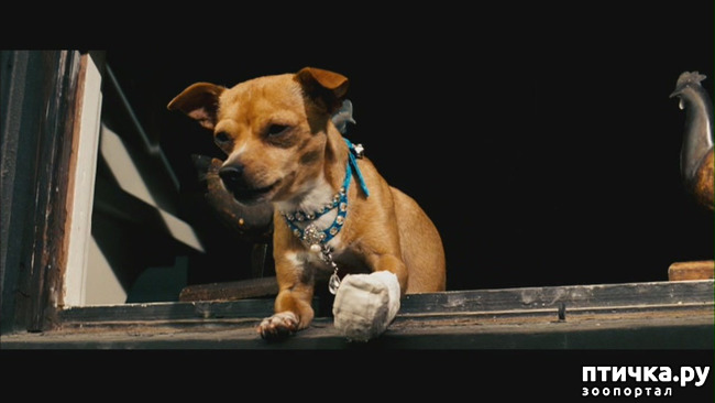 ���� 25: ����������� �������� ���� ���: ����, ������� ���, ��������, ������� �� ����� � ������� ����� + ��� ������� �����?