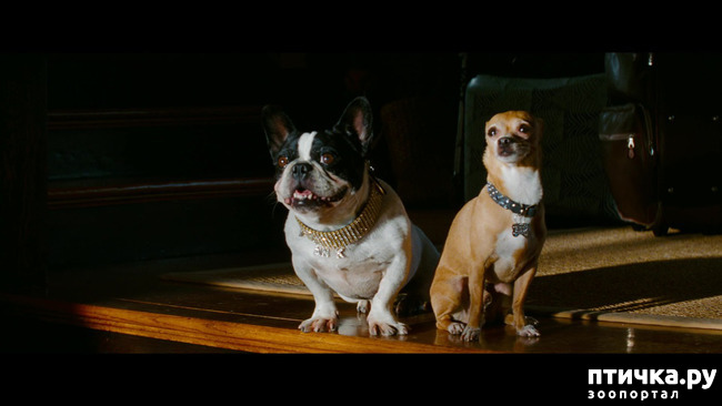 ���� 26: ����������� �������� ���� ���: ����, ������� ���, ��������, ������� �� ����� � ������� ����� + ��� ������� �����?