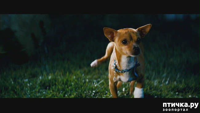 ���� 27: ����������� �������� ���� ���: ����, ������� ���, ��������, ������� �� ����� � ������� ����� + ��� ������� �����?