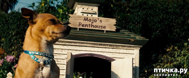 ���� 28: ����������� �������� ���� ���: ����, ������� ���, ��������, ������� �� ����� � ������� ����� + ��� ������� �����?