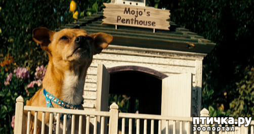 ���� 29: ����������� �������� ���� ���: ����, ������� ���, ��������, ������� �� ����� � ������� ����� + ��� ������� �����?