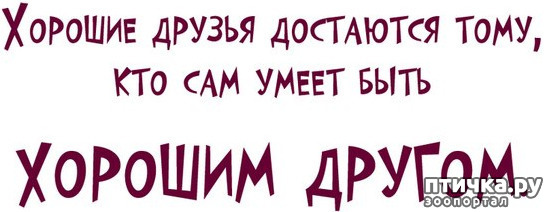 ���� 1: ������ - ��� ��� �� ������ ���...