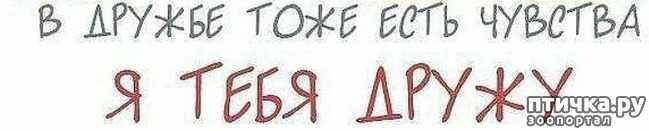 ���� 2: ������ - ��� ��� �� ������ ���...