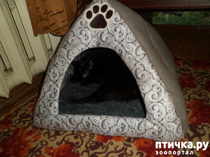 ����: ������ �������