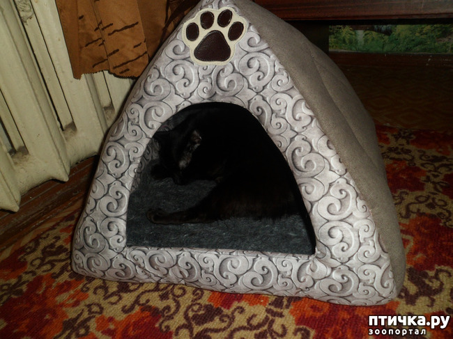 ���� 1: ������ �������