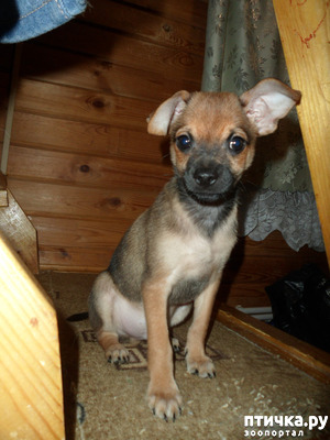 ����: ����������� �������� ���� ���: ����, ������� ���, ��������, ������� �� ����� � ������� ����� + ��� ������� �����?