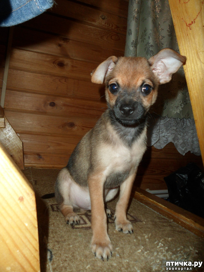 ���� 1: ����������� �������� ���� ���: ����, ������� ���, ��������, ������� �� ����� � ������� ����� + ��� ������� �����?