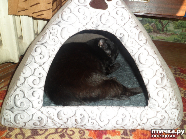 ���� 2: ������ �������