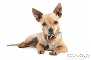 ���� 2: ����������� �������� ���� ���: ����, ������� ���, ��������, ������� �� ����� � ������� ����� + ��� ������� �����?