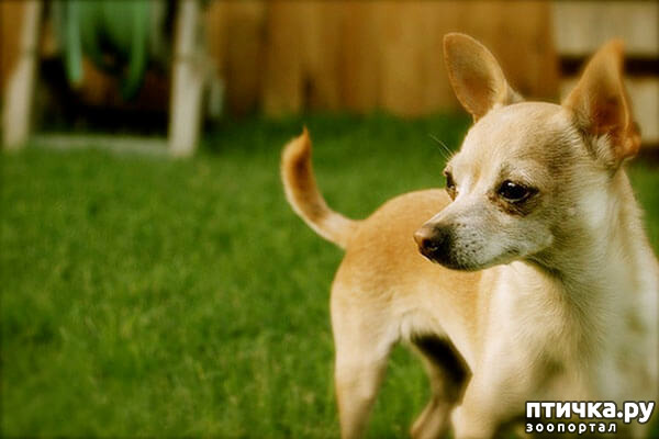 ���� 3: ����������� �������� ���� ���: ����, ������� ���, ��������, ������� �� ����� � ������� ����� + ��� ������� �����?