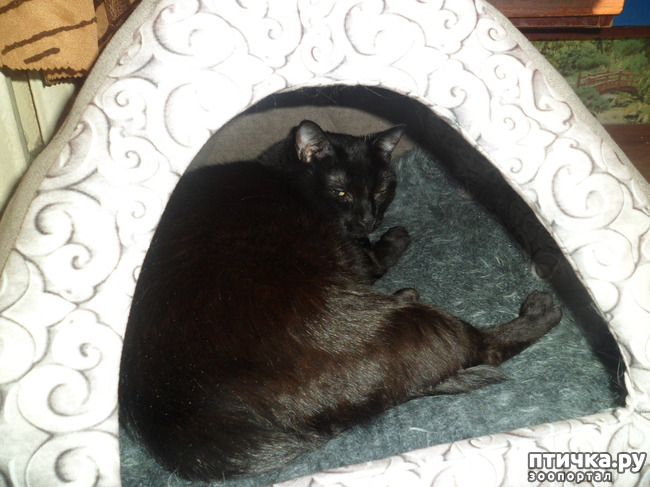 ���� 3: ������ �������