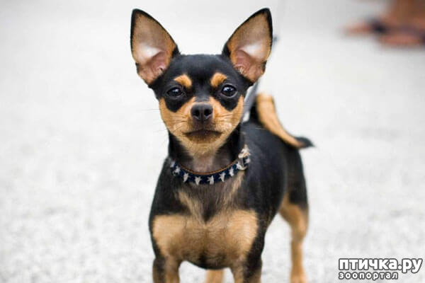 ���� 4: ����������� �������� ���� ���: ����, ������� ���, ��������, ������� �� ����� � ������� ����� + ��� ������� �����?