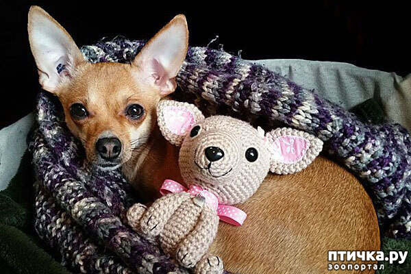 ���� 5: ����������� �������� ���� ���: ����, ������� ���, ��������, ������� �� ����� � ������� ����� + ��� ������� �����?