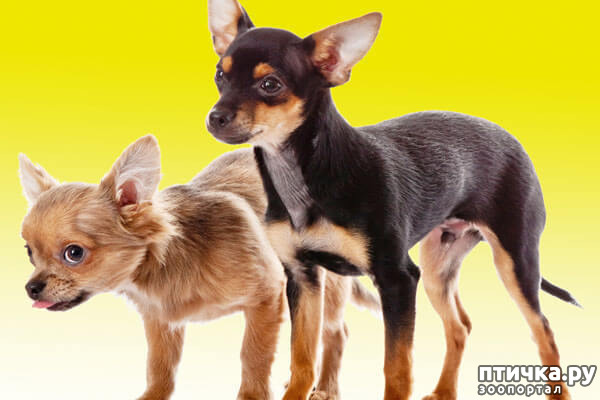 ���� 6: ����������� �������� ���� ���: ����, ������� ���, ��������, ������� �� ����� � ������� ����� + ��� ������� �����?