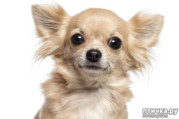 ���� 7: ����������� �������� ���� ���: ����, ������� ���, ��������, ������� �� ����� � ������� ����� + ��� ������� �����?