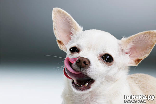 ���� 8: ����������� �������� ���� ���: ����, ������� ���, ��������, ������� �� ����� � ������� ����� + ��� ������� �����?