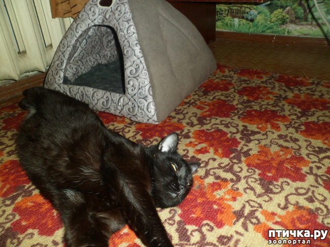 ���� 4: ������ �������