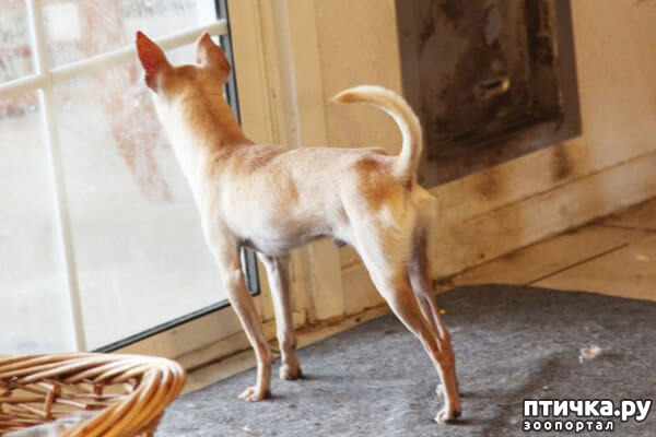 ���� 9: ����������� �������� ���� ���: ����, ������� ���, ��������, ������� �� ����� � ������� ����� + ��� ������� �����?