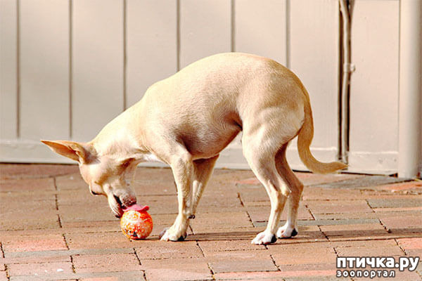 ���� 10: ����������� �������� ���� ���: ����, ������� ���, ��������, ������� �� ����� � ������� ����� + ��� ������� �����?