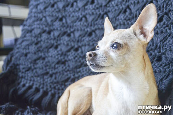 ���� 11: ����������� �������� ���� ���: ����, ������� ���, ��������, ������� �� ����� � ������� ����� + ��� ������� �����?