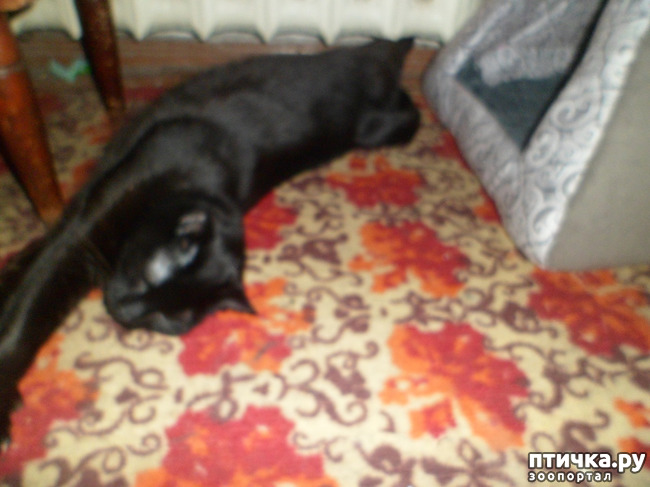 ���� 5: ������ �������